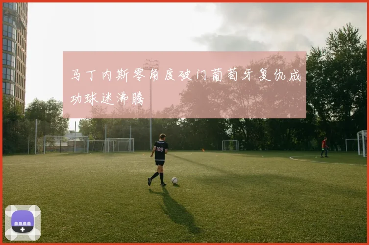 马丁内斯零角度破门葡萄牙复仇成功球迷沸腾