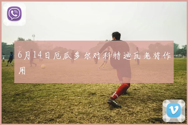 6月14日厄瓜多尔对科特迪瓦老将作用