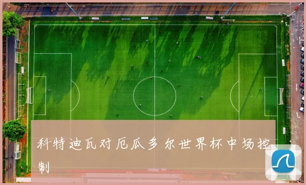 科特迪瓦对厄瓜多尔世界杯中场控制