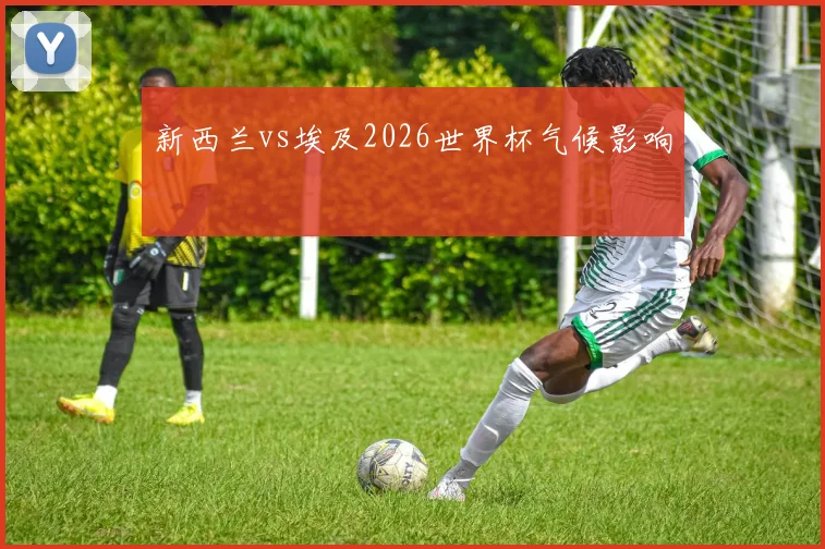 新西兰vs埃及2026世界杯气候影响