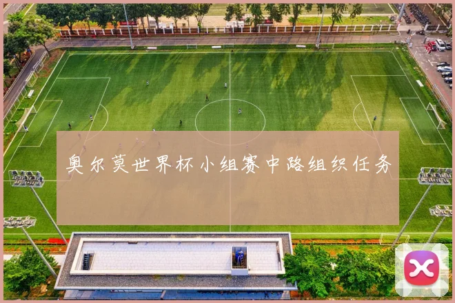 奥尔莫世界杯小组赛中路组织任务